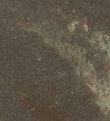 M301-Siena