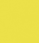 S106-Lemon-Squash